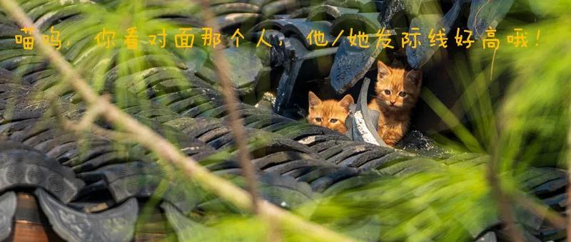 微信圖片_20211122162715.jpg