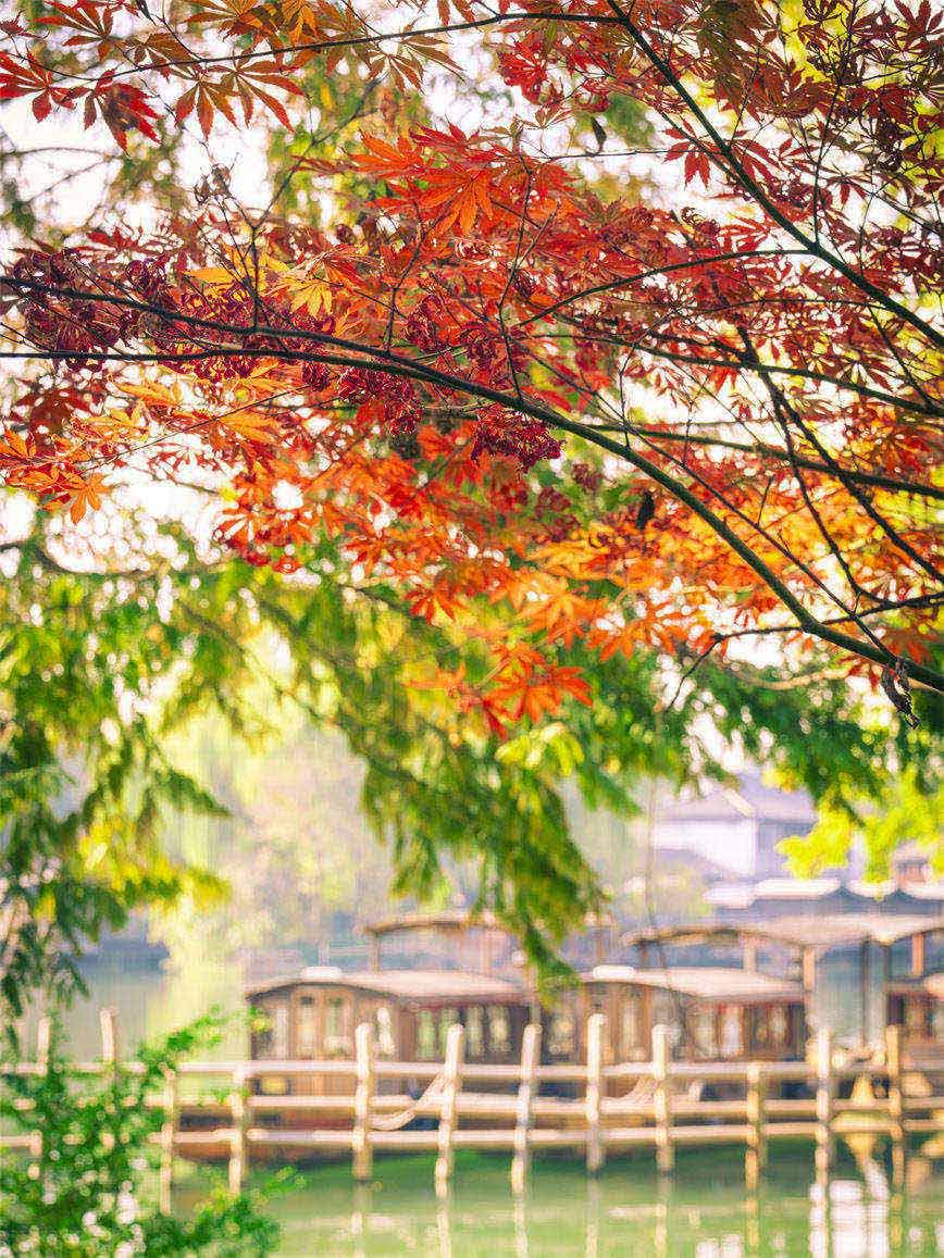 20231202風(fēng)景_9.jpg