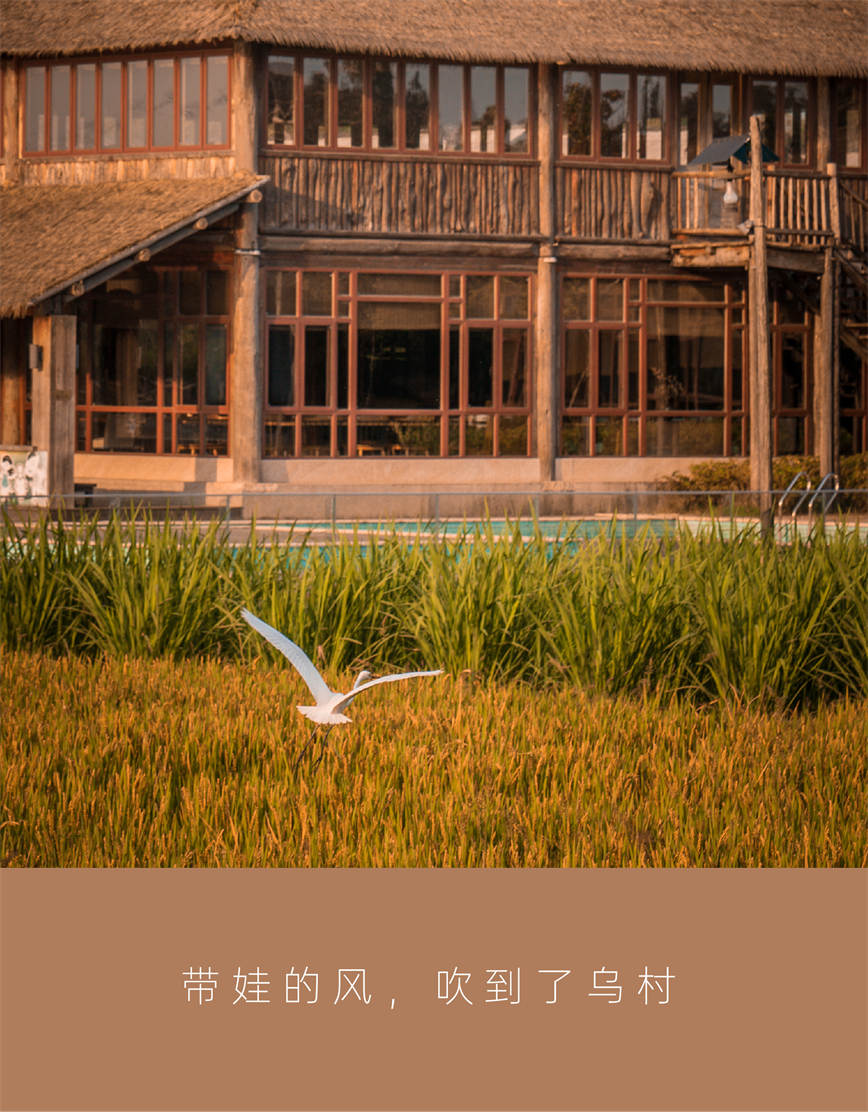 1714527474141501.jpg 微信圖片_20240501093216.jpg