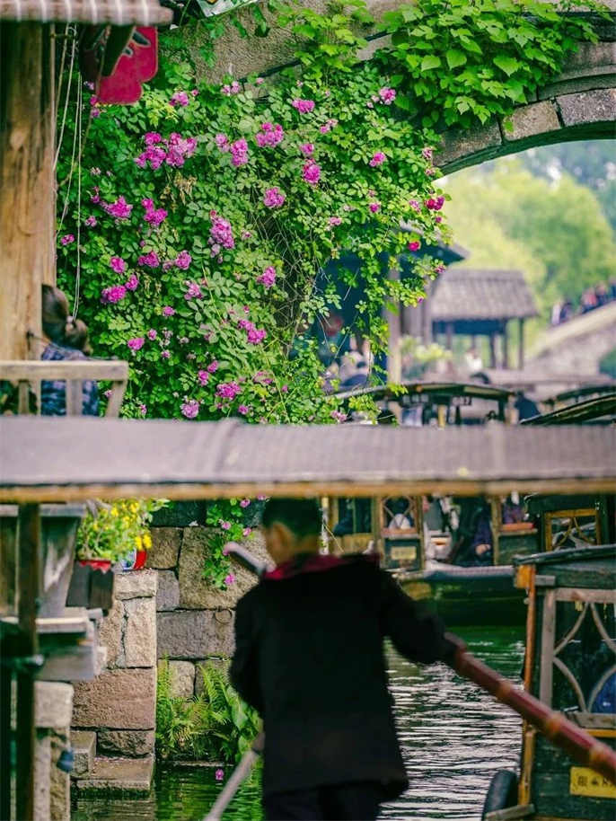 1715161959618823.jpg 微信圖片_20240508175113.jpg