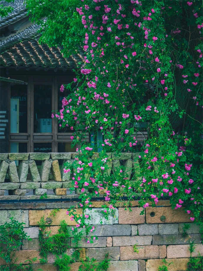 1715161971160783.jpg 微信圖片_20240508175119.jpg
